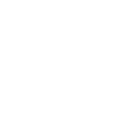 ISO Logo